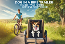 Dog in a Bike Trailer